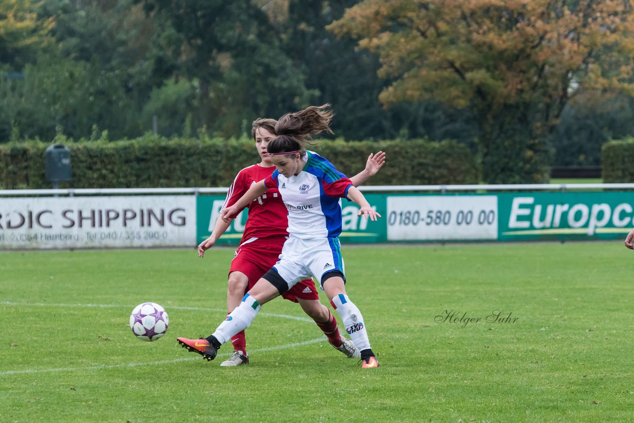 Bild 380 - B-Juniorinnen SV Henstedt Ulzburg - SV Wahlstedt : Ergebnis: 11:0